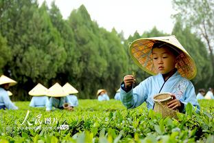 好曰子高手心水论坛截图1